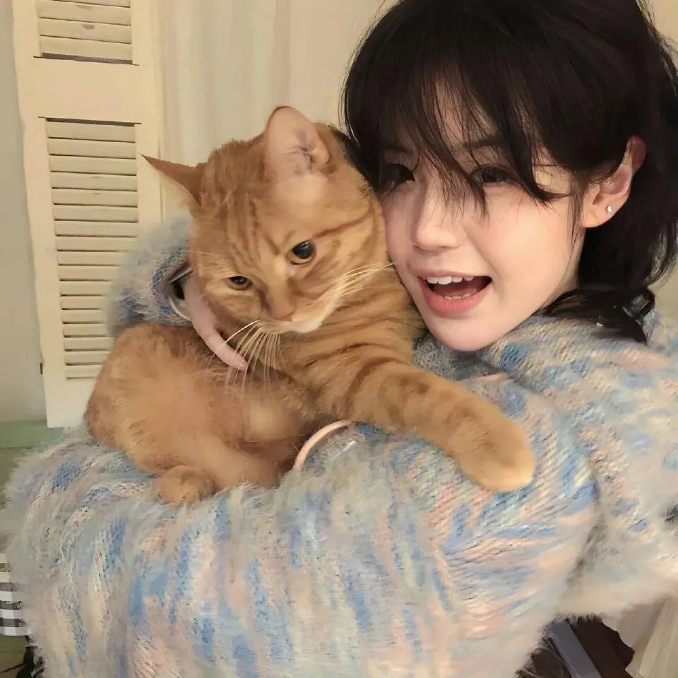 飞贼黑猫